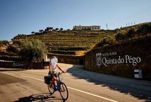 Hotel Rural Quinta do Pégo - Região do Douro Vinhateiro