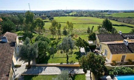 Descubra a Quinta da Cabrita: Um Refúgio Rural perto de Santarém