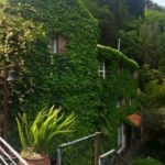 Moinho do Comandante: Turismo Rural Autêntico na Ilha da Madeira
