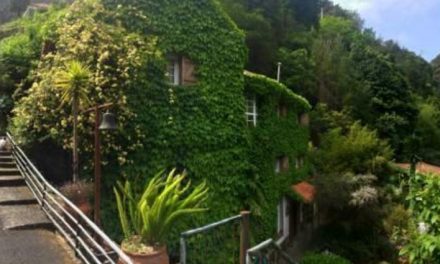 Moinho do Comandante: Turismo Rural Autêntico na Ilha da Madeira