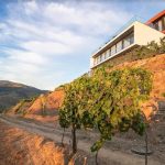 Quinta Vale de Lobos: Uma Experiência Autêntica no Douro Vinhateiro