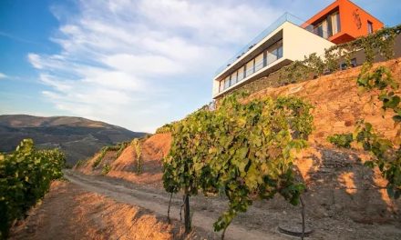 Quinta Vale de Lobos: Uma Experiência Autêntica no Douro Vinhateiro