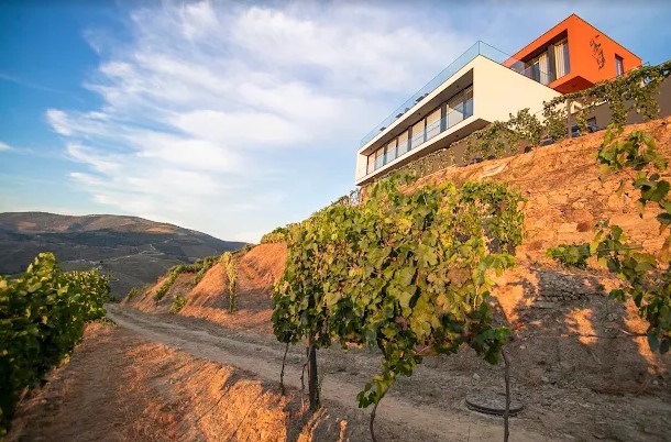 Quinta Vale de Lobos: Uma Experiência Autêntica no Douro Vinhateiro