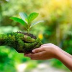 O que é turismo sustentável e qual a sua importância
