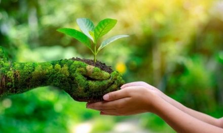 O que é turismo sustentável e qual a sua importância