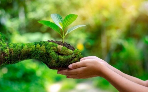 O que é turismo sustentável e qual a sua importância