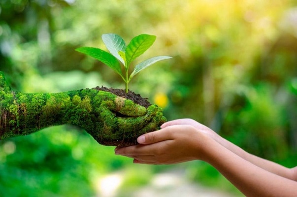 O que é turismo sustentável e qual a sua importância
