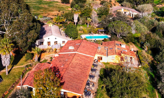 Quinta Pedagógica da Samoqueirinha: Atividades e Informações