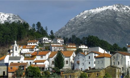 Melhores Casas de Turismo Rural em Seia: Onde Ficar na Serra da Estrela