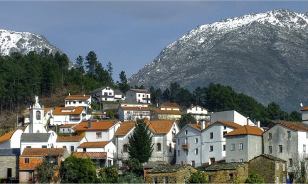 Melhores Casas de Turismo Rural em Seia: Onde Ficar na Serra da Estrela