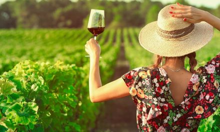 Descubra o Que é o Enoturismo e Como Aproveitá-lo