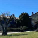 Hotel Rural Quinta do Medronheiro: Descubra Este Refúgio em Viseu
