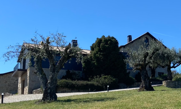 Hotel Rural Quinta do Medronheiro: Descubra Este Refúgio em Viseu